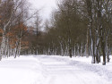 Tapeta Erzgebirge winter