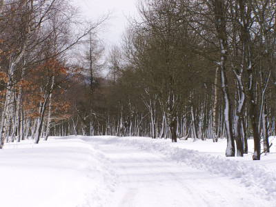 Tapeta: Erzgebirge winter