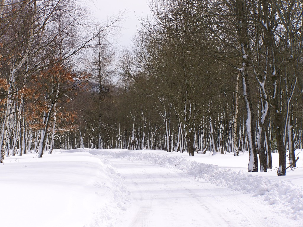 Tapeta erzgebirge_winter