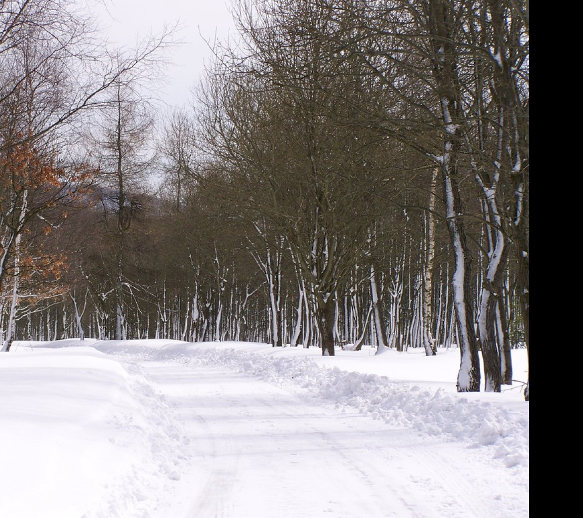 Tapeta erzgebirge_winter