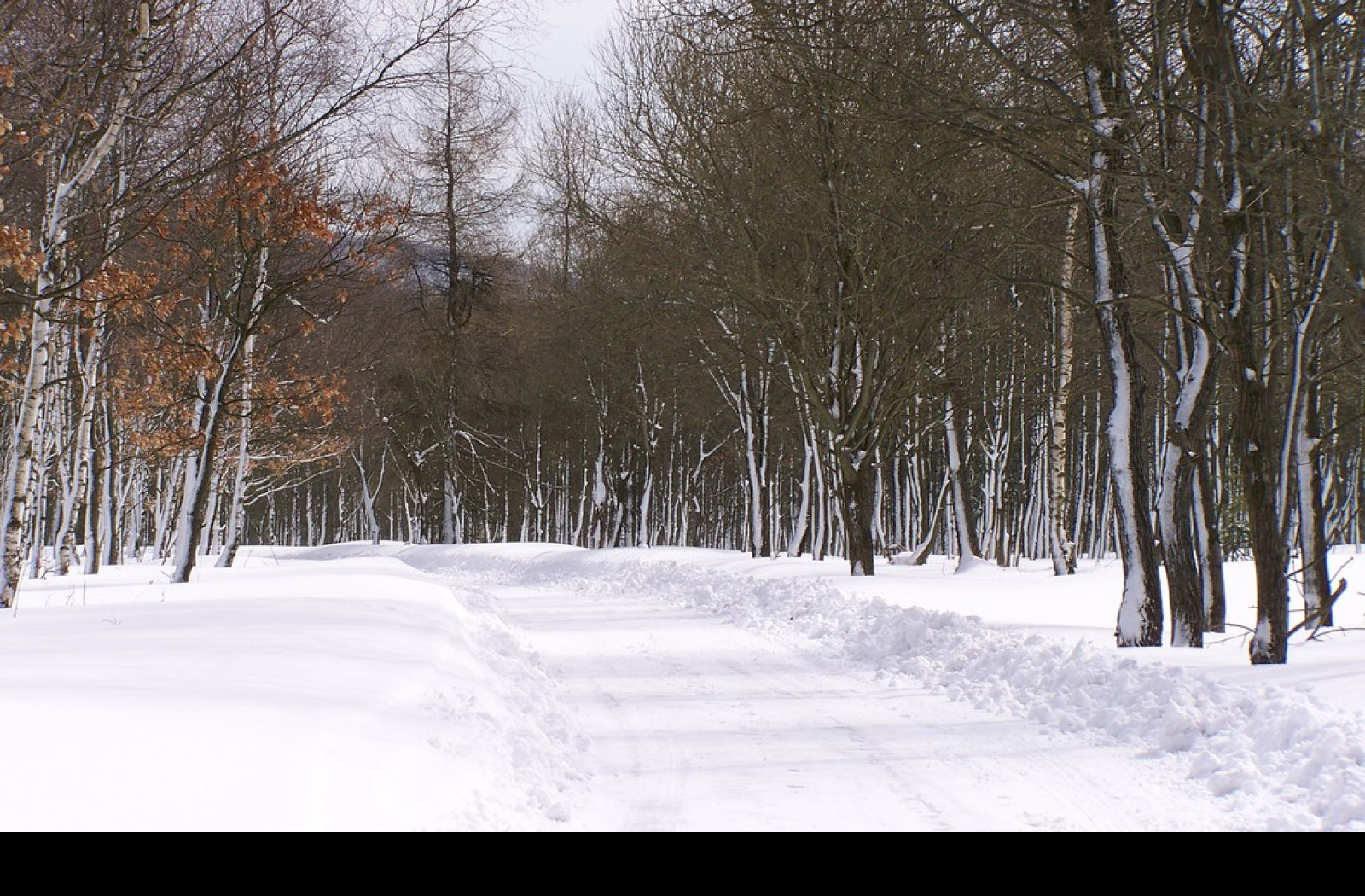 Tapeta erzgebirge_winter