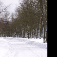 Tapeta erzgebirge_winter
