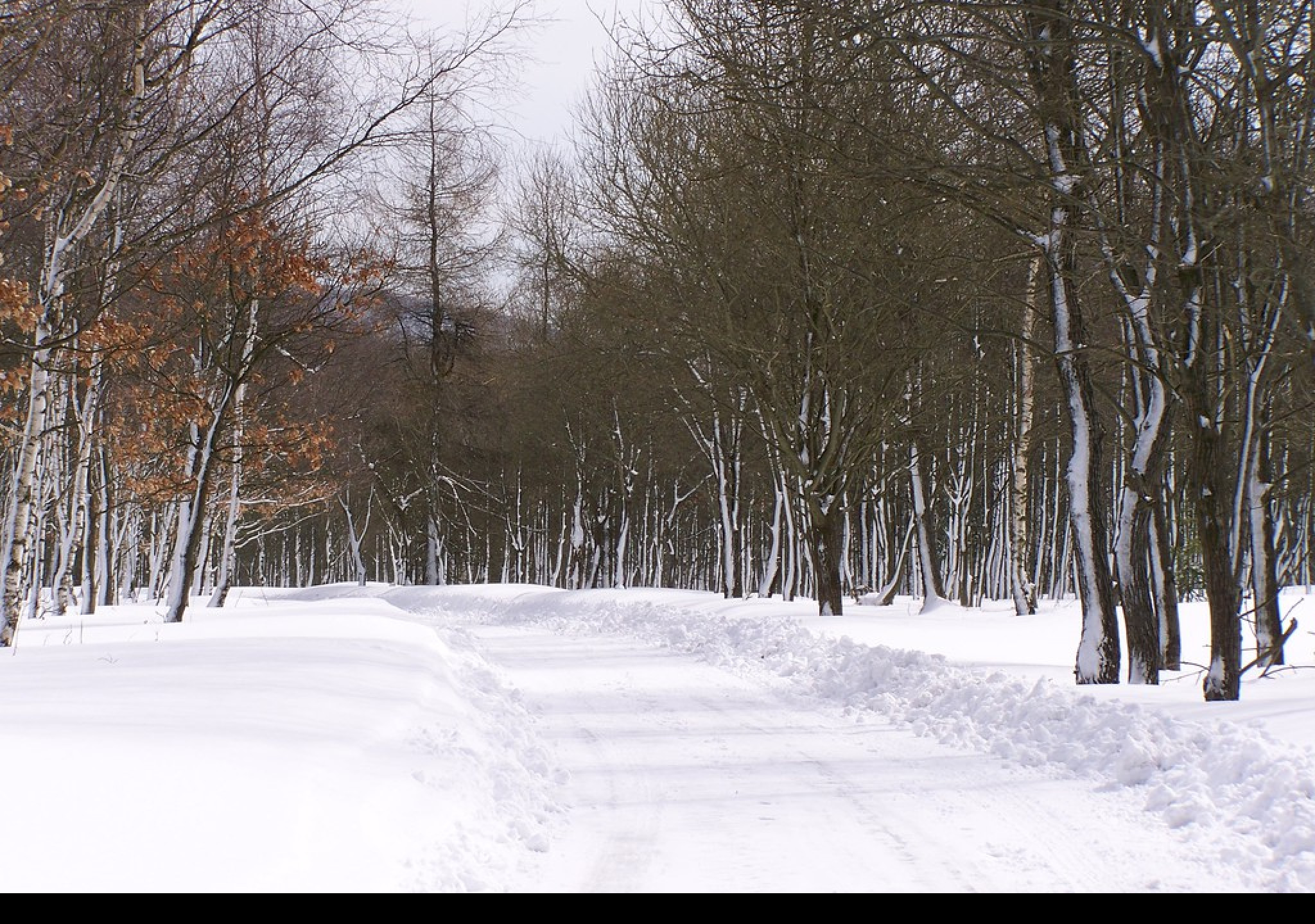 Tapeta erzgebirge_winter