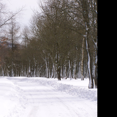 Tapeta erzgebirge_winter