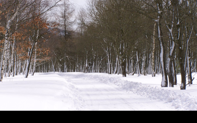 Tapeta erzgebirge_winter