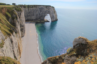 Tapeta: tretat 2