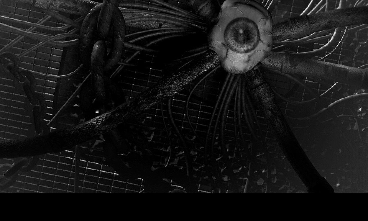 Tapeta eyeseeyou