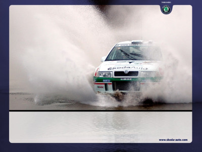 Tapeta: Fabia WRC 4