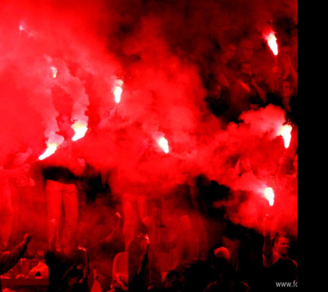 Tapeta fanousci3