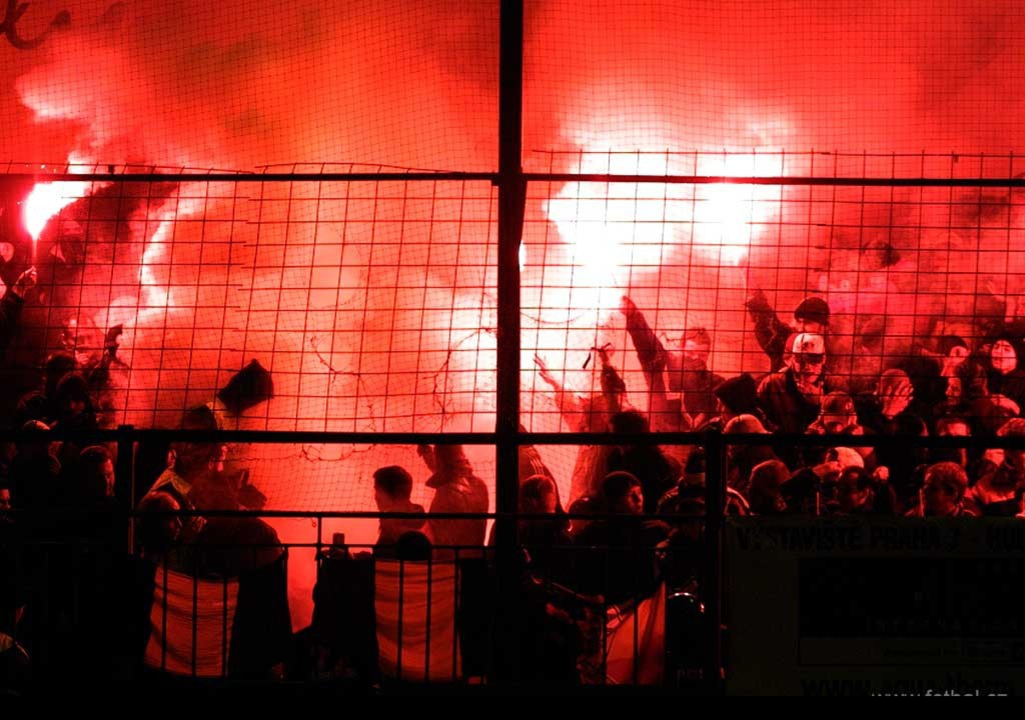 Tapeta fanousci6