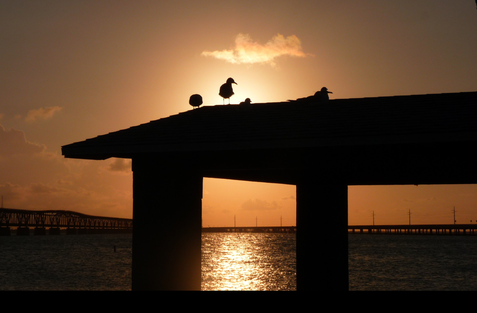 Tapeta florida_sunset