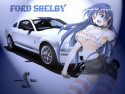 Tapeta Ford Shelby