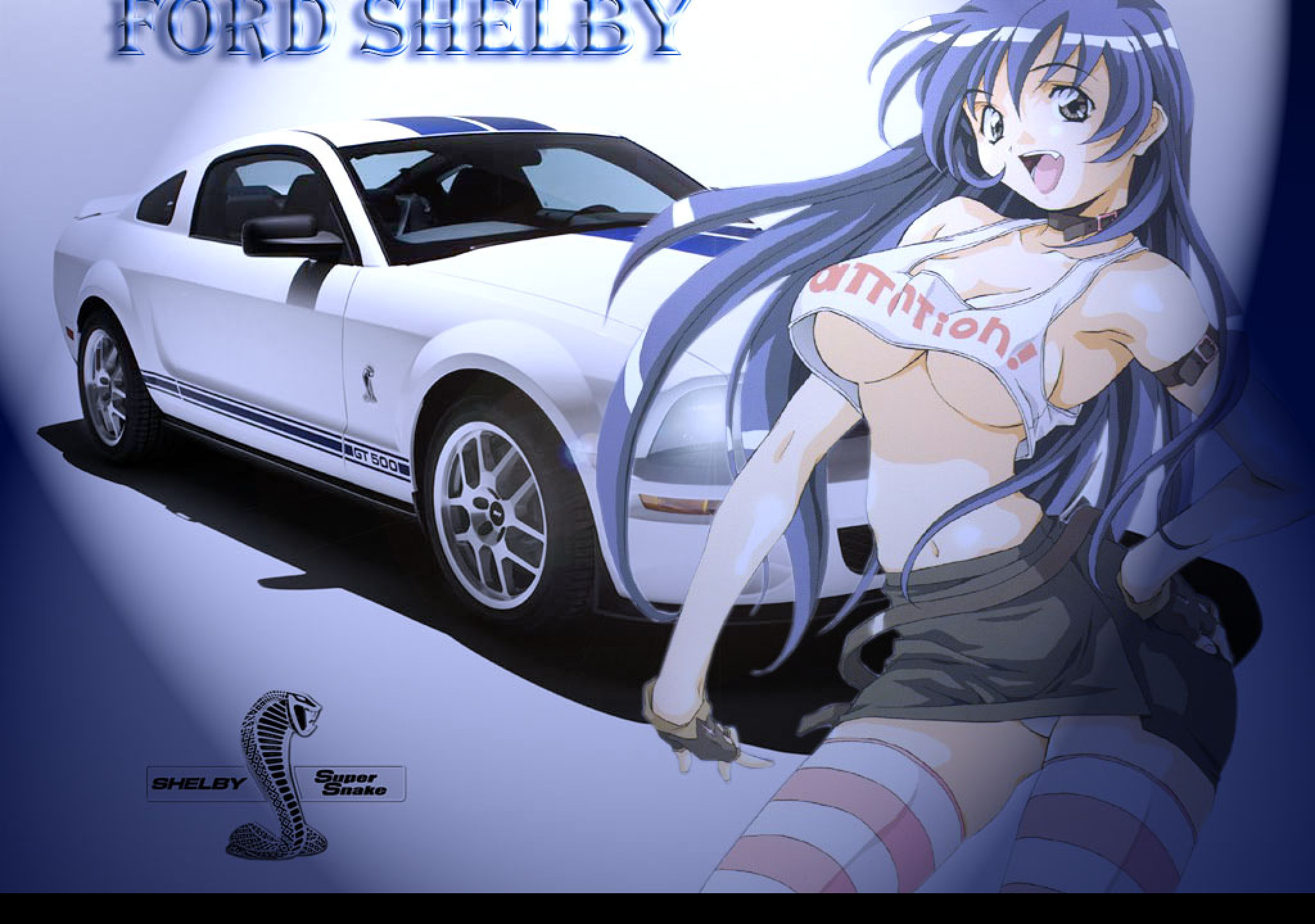 Tapeta ford_shelby