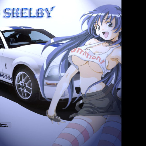 Tapeta ford_shelby