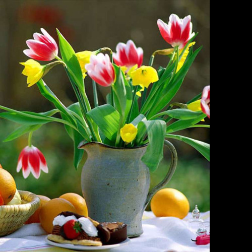 Tapeta fotografiekvetin34