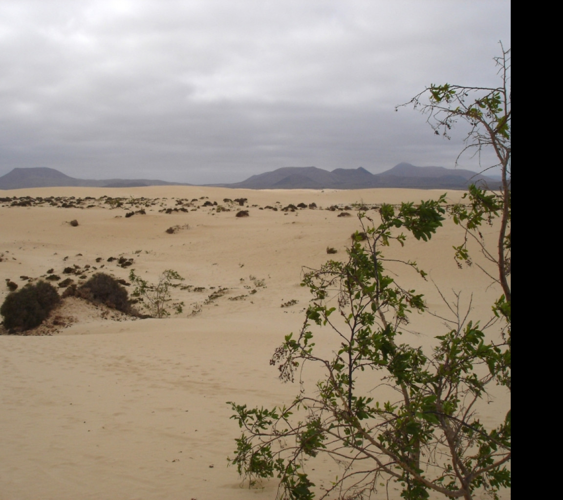 Tapeta fuerteventura_3