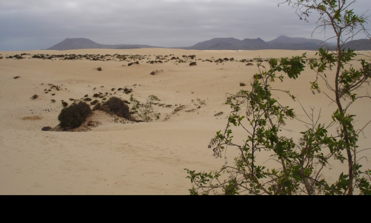 Tapeta fuerteventura_3