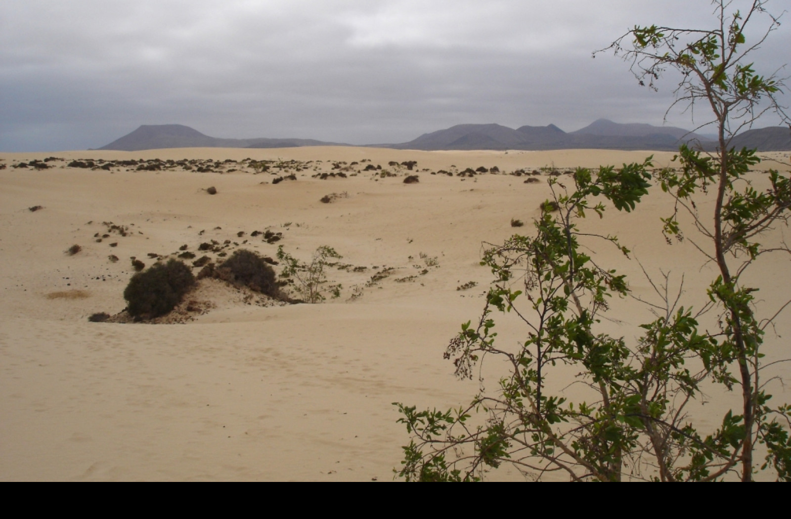 Tapeta fuerteventura_3