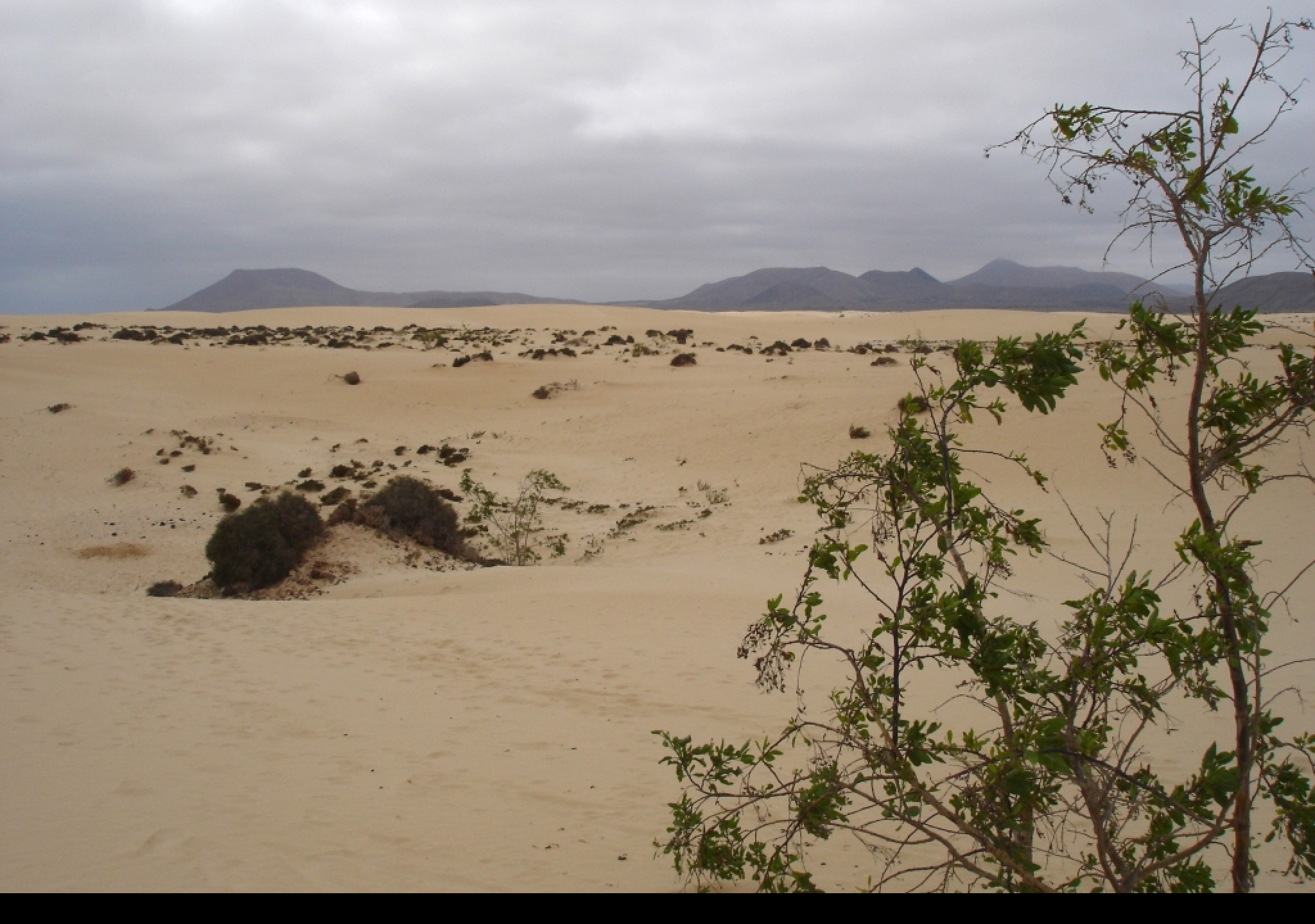 Tapeta fuerteventura_3