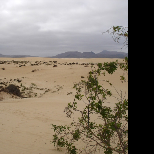 Tapeta fuerteventura_3