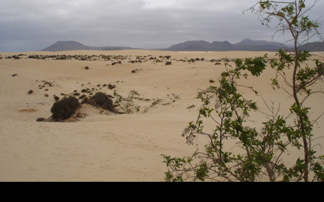 Tapeta fuerteventura_3