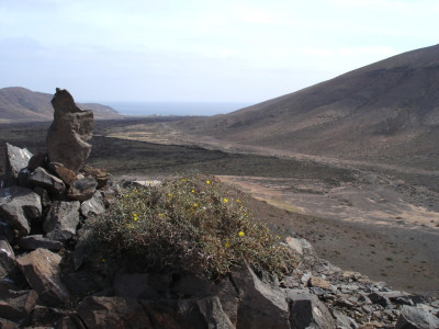 Tapeta: Fuerteventura 4