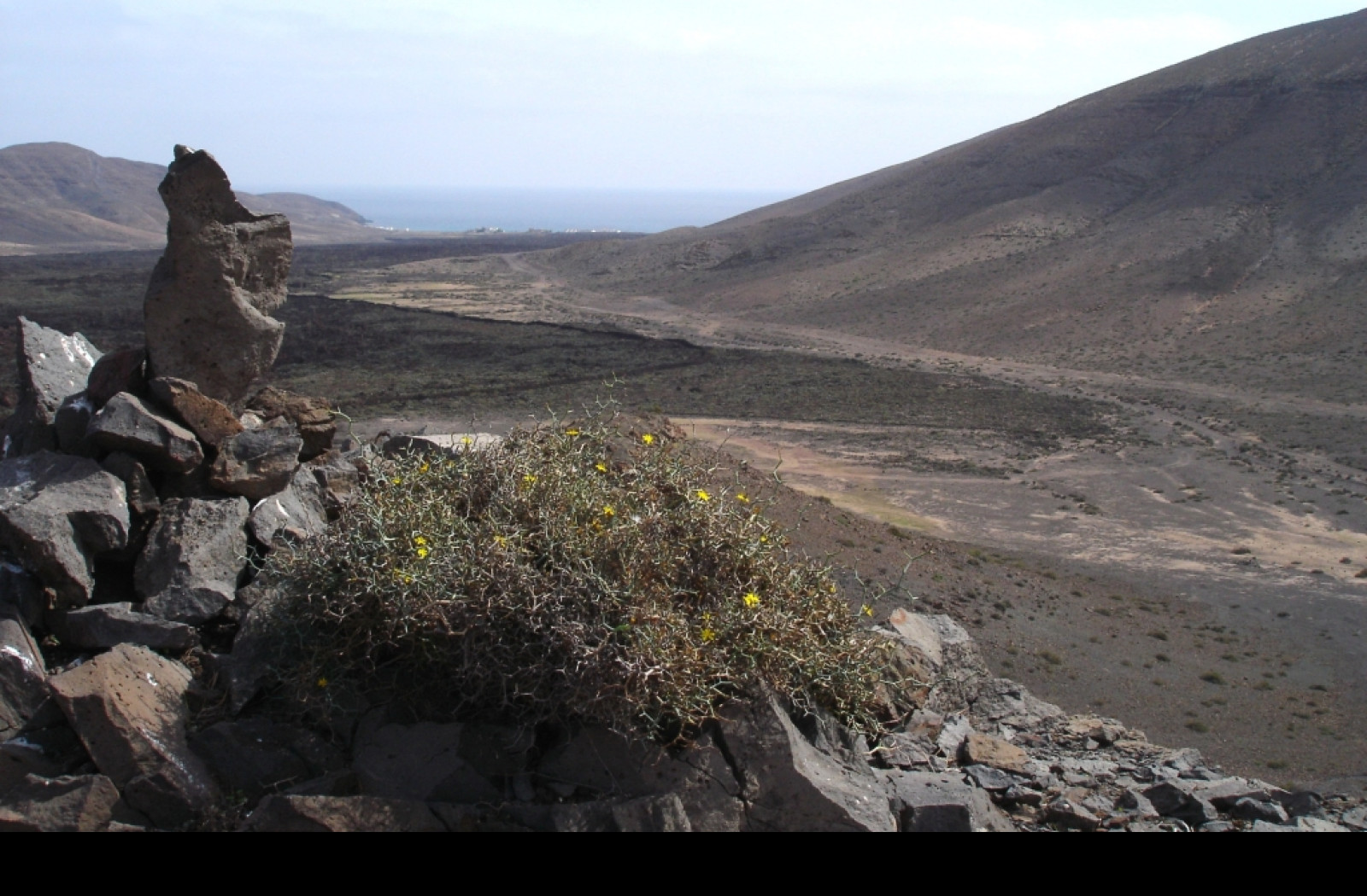 Tapeta fuerteventura_4