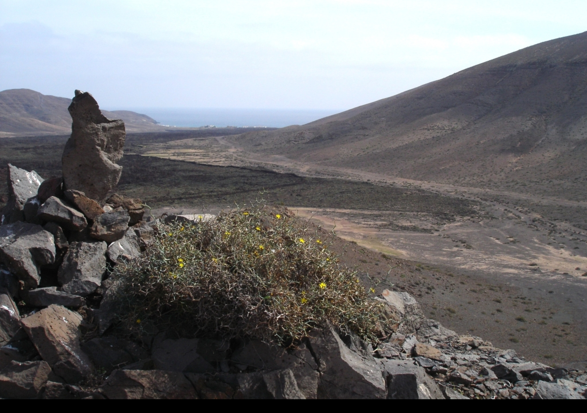 Tapeta fuerteventura_4