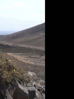 Tapeta fuerteventura_4