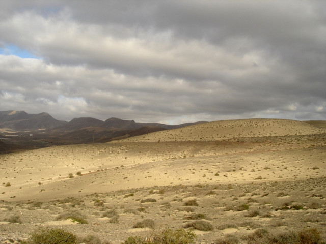 Tapeta fuerteventura_6