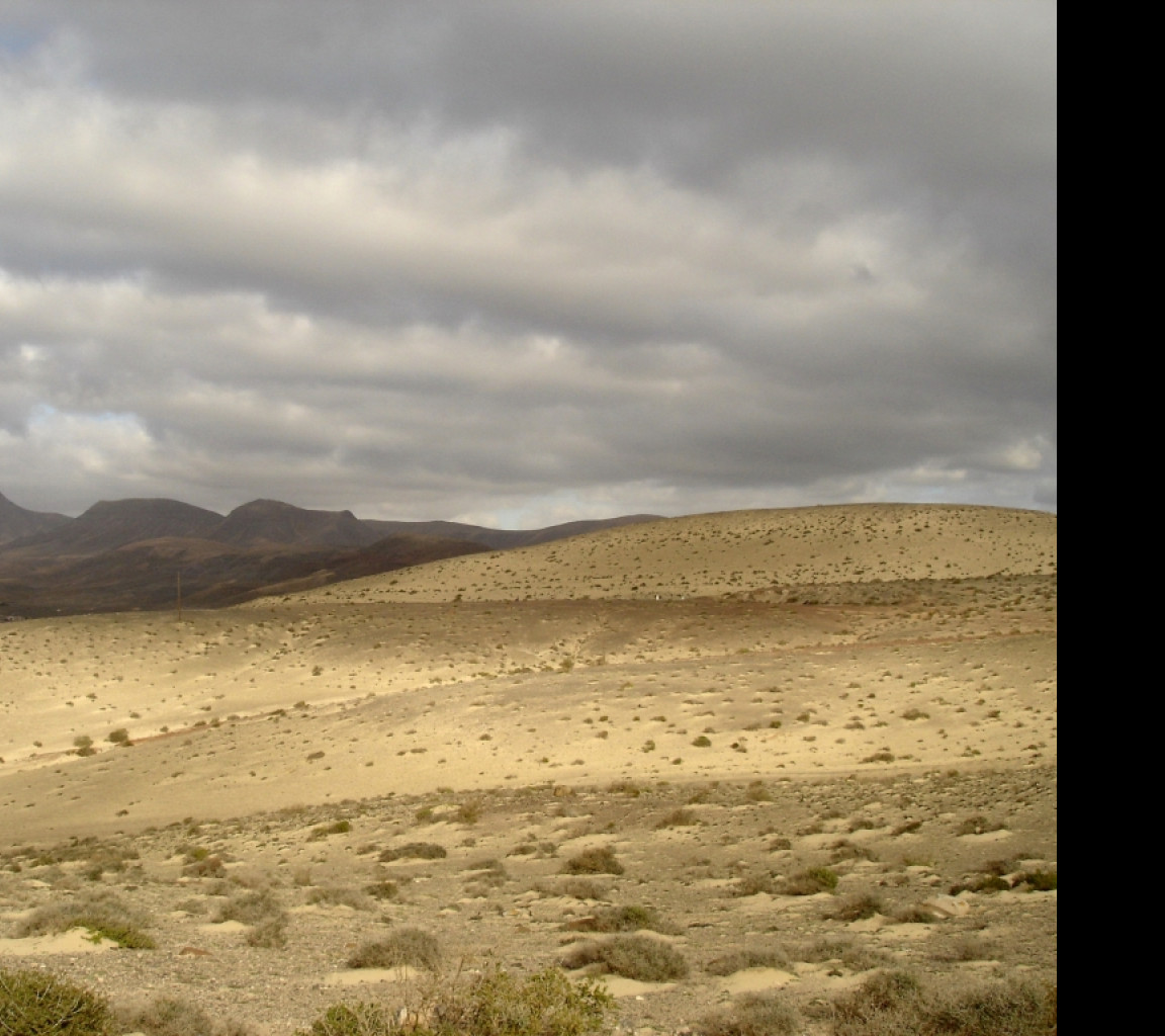 Tapeta fuerteventura_6