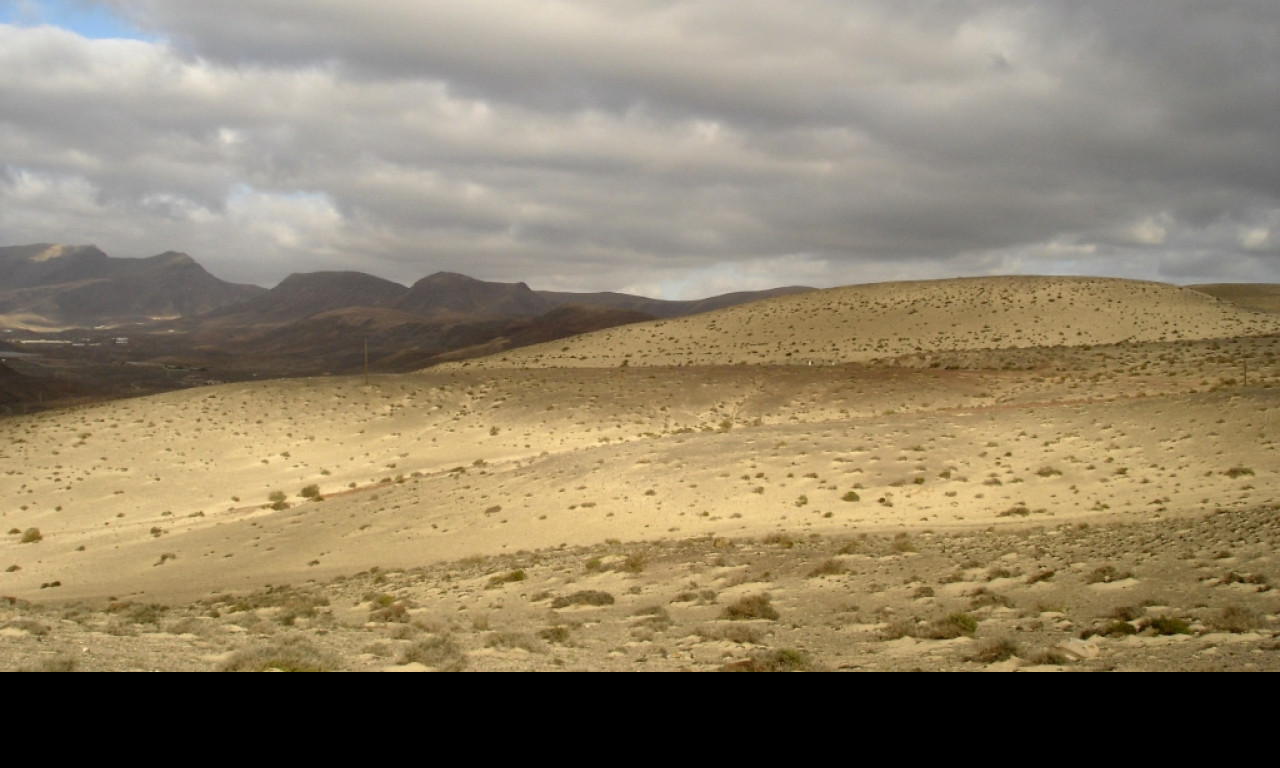 Tapeta fuerteventura_6