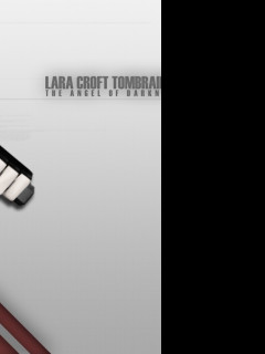 Tapeta gametombraider10