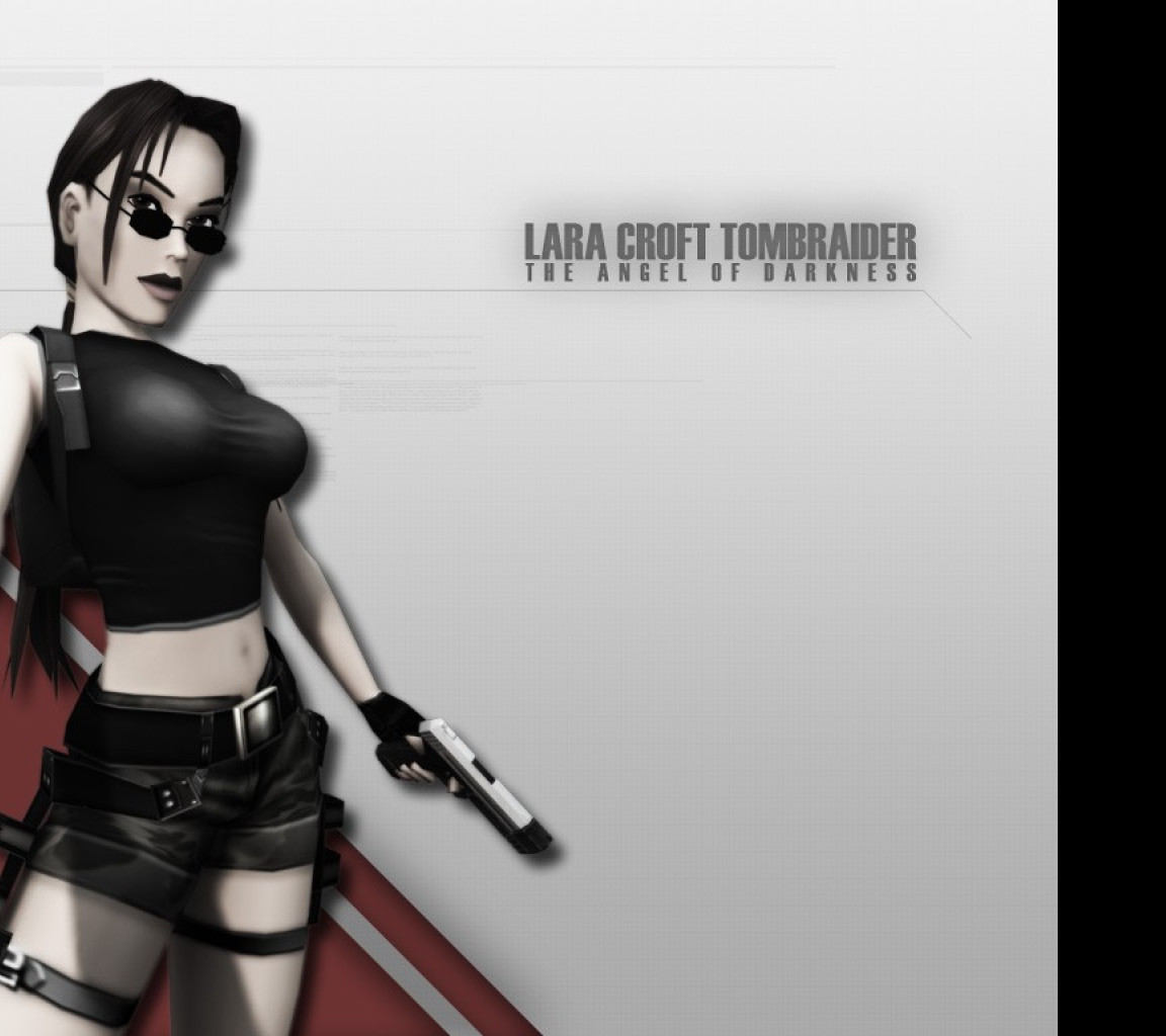 Tapeta gametombraider11