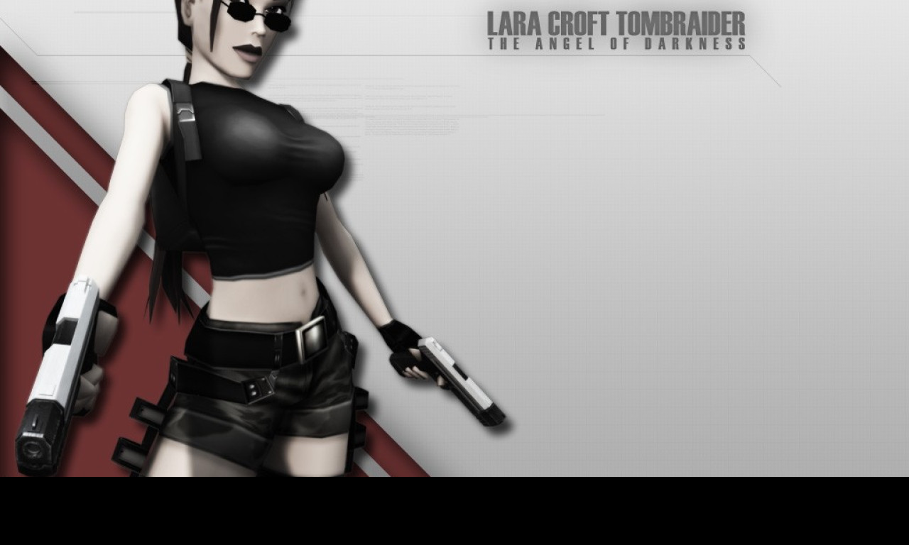 Tapeta gametombraider11