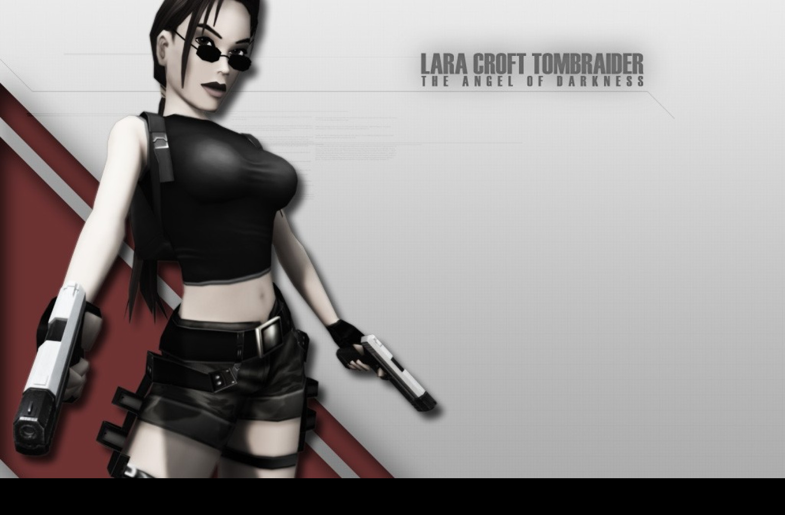 Tapeta gametombraider11