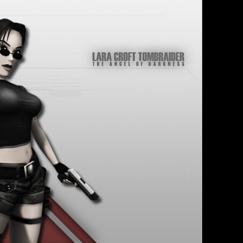 Tapeta gametombraider11