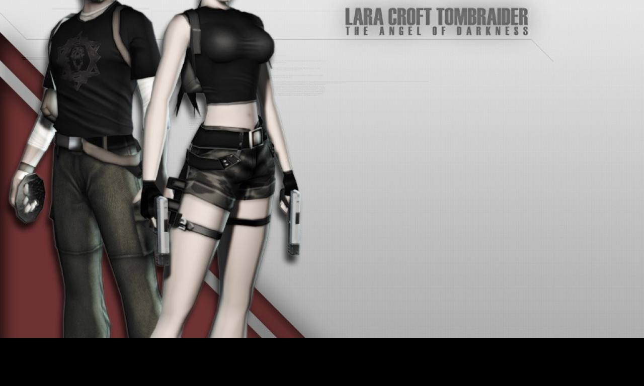 Tapeta gametombraider12