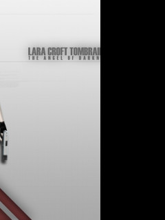 Tapeta gametombraider12