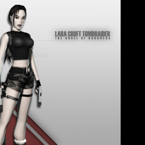 Tapeta gametombraider12