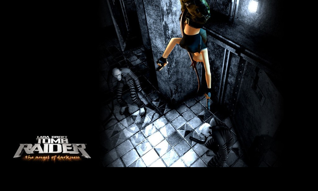 Tapeta gametombraider7