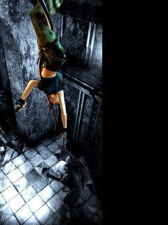 Tapeta gametombraider7