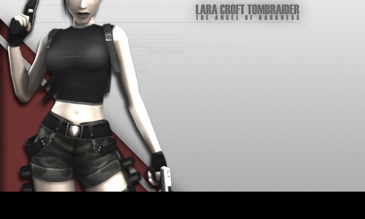 Tapeta gametombraider9