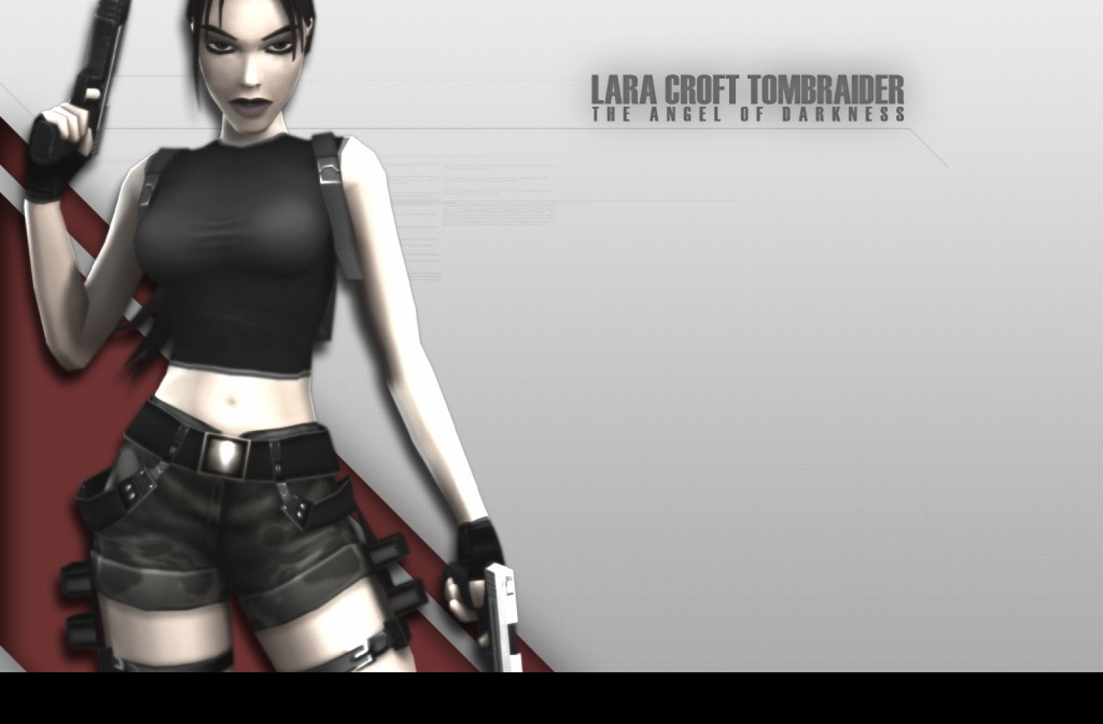 Tapeta gametombraider9