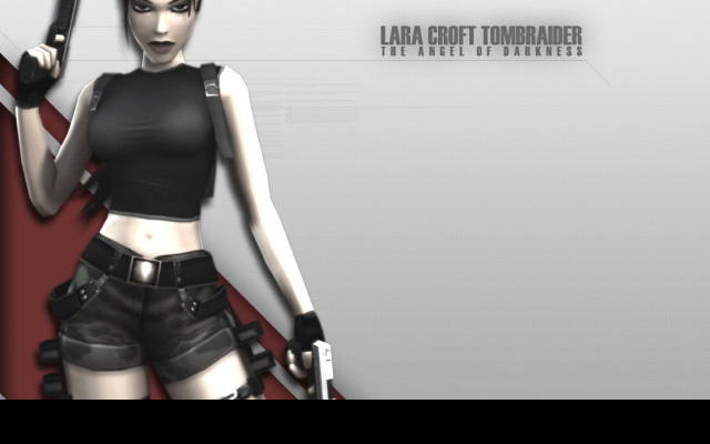 Tapeta gametombraider9