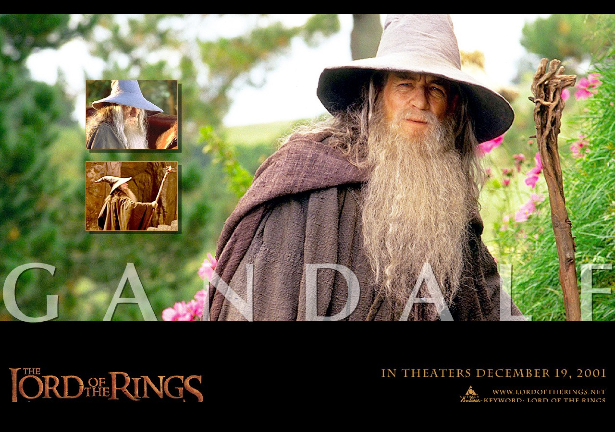 Tapeta gandalf