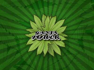 Tapeta: Ganja power