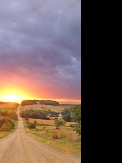 Tapeta golden_sunset
