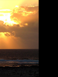 Tapeta goldenskies