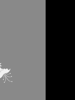 Tapeta gray_flowers